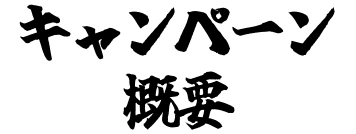 キャンペーン概要